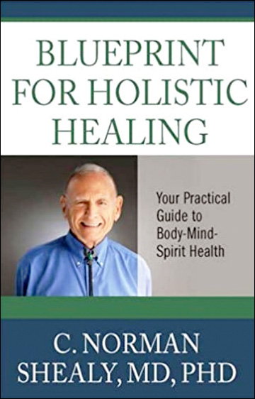 Blueprint for Holistic Healing - Your Practical Guide to Body-Mind-Spirit Health