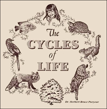 The Cycles of Life